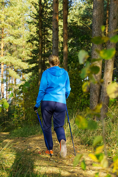 秋の公園の青いジャケットのハイキングの若い女性はスカンディナヴィアの棒で。秋の森に棒を持った女がノルディック・ウォーキングを. - 写真・画像