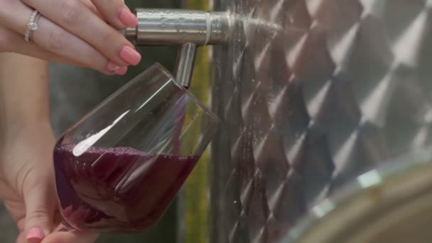 Koyu pembe şarap örneği kırmızı şarap bardağına dökülüyor. Yavaş çekim - Video, Çekim