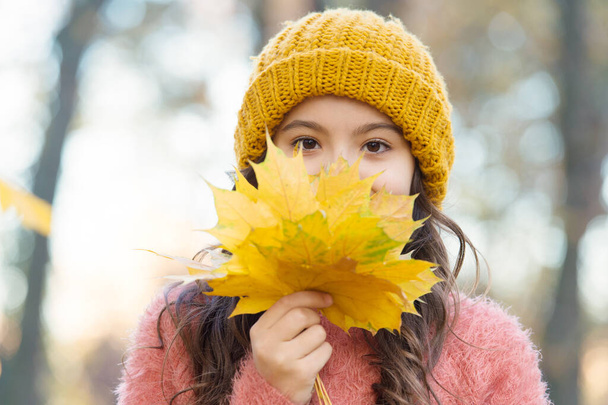 Beautiful day. beauty of fall nature. happy kid wear knitted sweater. teen girl gathering fallen leaves. child walk in autumn forest. warm clothes fashion. seasonal weather. childhood happiness - Foto, immagini