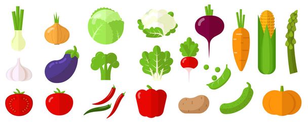 vegetables design element set. - Vector, Image