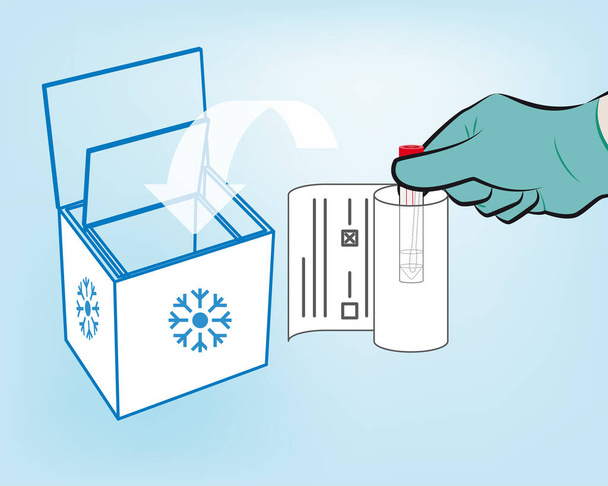 Шаг 9: Образец должен сопровождаться информационным листом и транспортироваться в холодильнике пакетами со льдом - Вектор,изображение