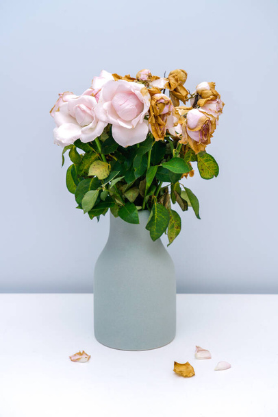Pink withered rose. The pink roses in the vase withered. - Photo, image