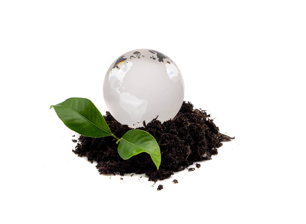 Earth globe with seedling on a mound of earth isolated - Photo, Image