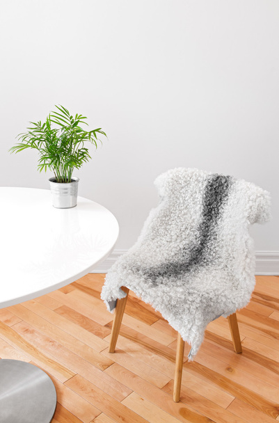 καρέκλας, καλυμμένης με sheepskin, και φυτών σε έναν λευκό πίνακα - Φωτογραφία, εικόνα