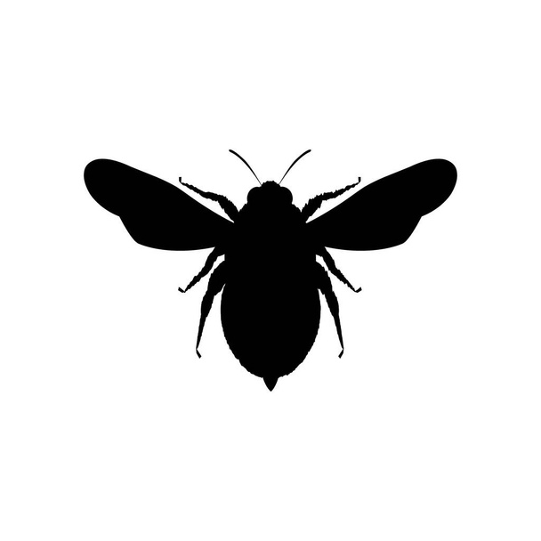 Icono de silueta de abeja. Esquema de abeja negra. Vector animal símbolo. Aislado sobre blanco. - Vector, imagen