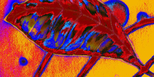 Azure bladeren textuur. Oranje Palm Element. Kleurrijke hand getrokken Banner.Red Luxury sjaal. Zwart nat papier. Gele vervaagde decoratie. Abstract Ontwerp. - Foto, afbeelding