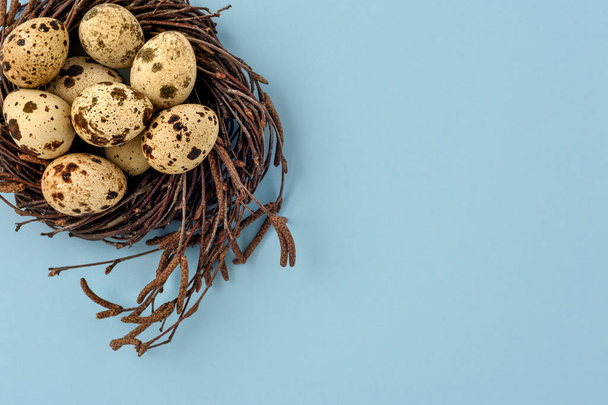 Happy easter background. Quail eggs in the nest on a blue background. Copy space. - Photo, Image