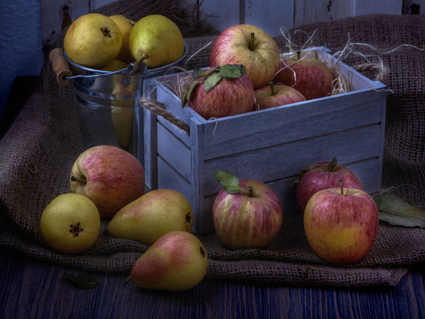 Eski beyaz tahta kutuda sulu meyveler. Kırmızı elma ve sarı armut. Alçakgönüllü ay ışığı - Fotoğraf, Görsel