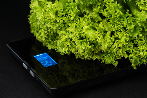 Hullámos saláta van az elektronikus súly a fekete háttér. - Fotó, kép