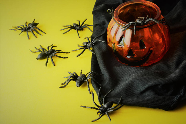 Citrouille d'Halloween sur tissu noir, contour avec des araignées, la terreur et la panique, dans une grande journée reconnue et festive - Photo, image