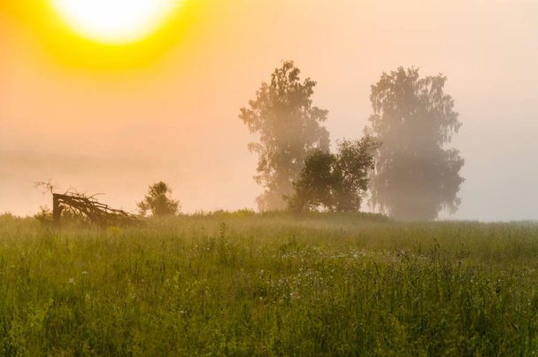morning fog over the lake. Sunlight through the forest. - Valokuva, kuva