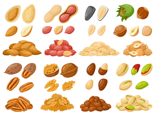 Pazzi dei cartoni. Mandorle, arachidi, anacardi, nocciole, semi di girasole e pistacchio, frutta a guscio isolato icone vettoriali illustrazione set - Vettoriali, immagini
