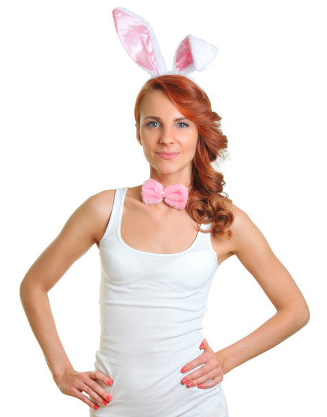 bunny on white - Фото, изображение
