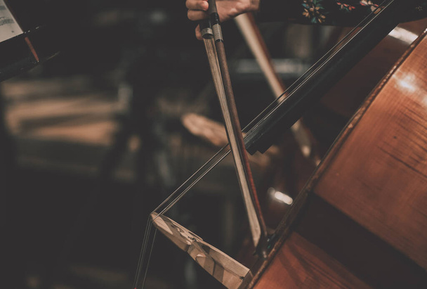 Klasik orkestrada çift bas. Müzisyenlerin ve enstrümanlarının yan görüntüsü. Bir enstrümanın yakın çekimi. Ayrıntı. - Fotoğraf, Görsel