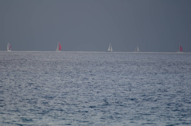 Course transatlantique depuis l'île de Gran Canaria. - Photo, image