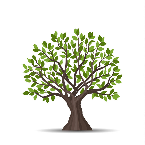 Illustrazione vettoriale di un albero con foglie su sfondo bianco - Vettoriali, immagini