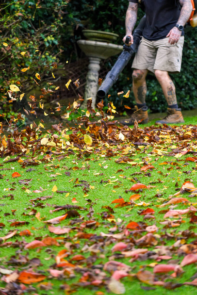 Een man die een bladblazer machine gebruikt om herfstbladeren uit een tuin te halen tijdens de herfst - Foto, afbeelding
