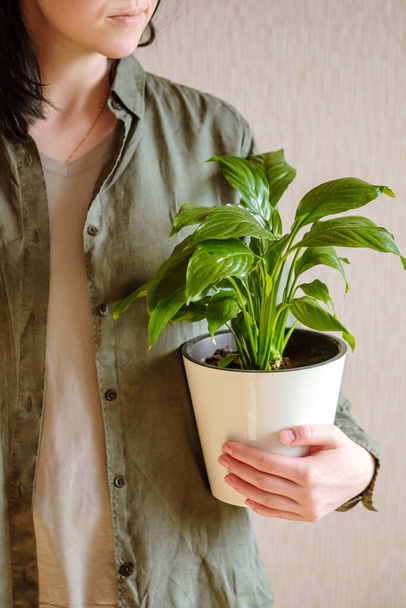 A young woman with dark hair in a green shirt in her hands a beautiful Spathiphyllum flower in a white pot. Home plants care concept. - Photo, Image
