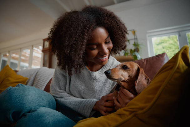 Smiling african woman playing with pet wiener dog at home sitting on couch - Fotoğraf, Görsel