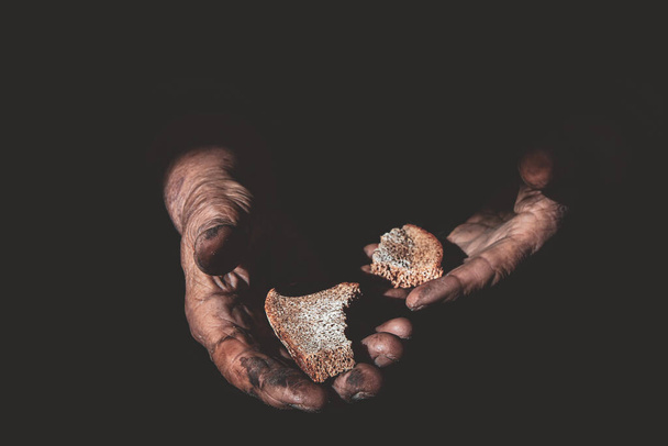 szárított kenyér egy idős nő kezében. - Fotó, kép