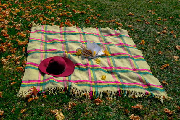 Reading, weekend in fall park. Checkered blanket with fringes, red felt hat, open book covered with yellow fallen leaves. Copy space. Background - Photo, Image