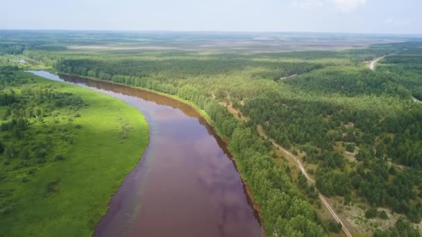 Luchtfoto van de rivier en het groene bos onder de blauwe hemel in de zomer. Een knip. Zomer landschap met bos, groene velden en brede rivier op een zonnige dag. - Video