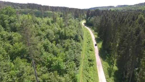 Auto jedoucí po polní cestě v lese. Pohled od dronu, Verdunský les - Záběry, video