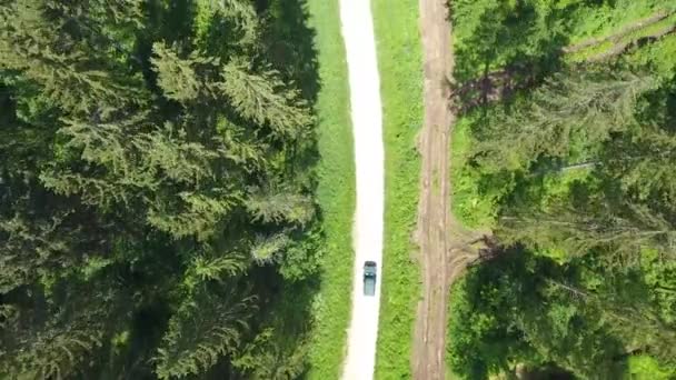 Verticaal zicht vanuit de lucht op een auto in Verdun Forest path - Video