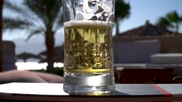 A glass of beer with palm trees and sea at the background HD - Footage, Video