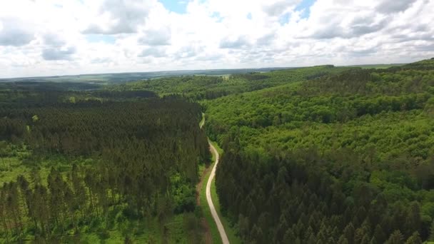 Drone vlucht over een bospad. Locatie Verdun Frankrijk. - Video