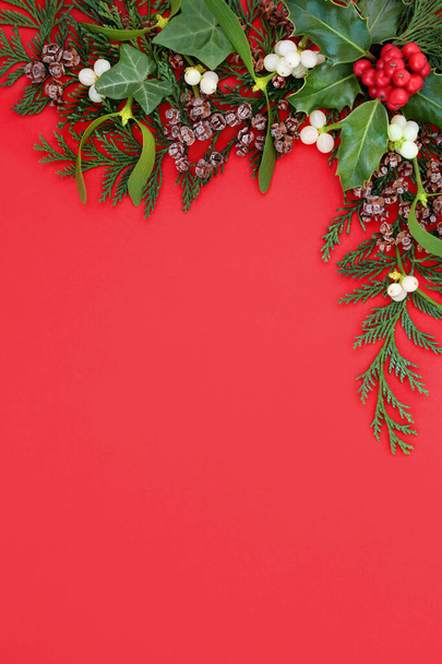 Tradycyjna granica tła zima i Boże Narodzenie z jodłą cyprysową, bluszczem i jemiołą na czerwonym tle. - Zdjęcie, obraz
