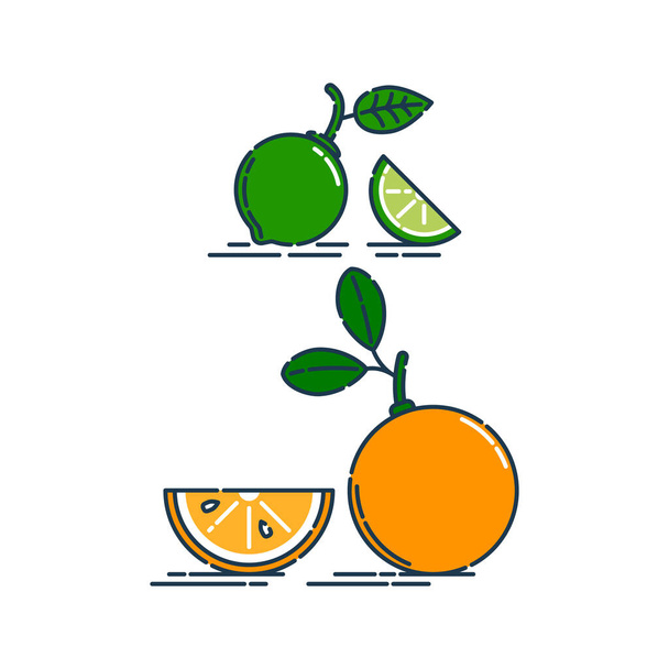 全体と白の背景に隔離された半分のオレンジやみかんやライムフルーツでスライスします。有機製品だ。明るい夏の収穫イラスト。任意のデザインのためのフラットスタイルイラスト。柑橘類のアイコンをカット. - ベクター画像