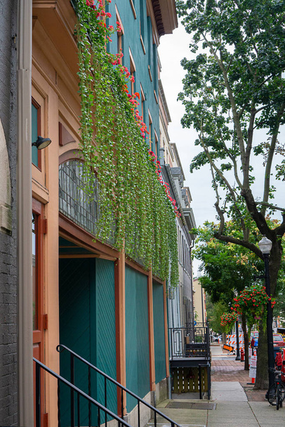 Picturesque street view with Ivy hanging out from windows in front of a building - Foto, Bild