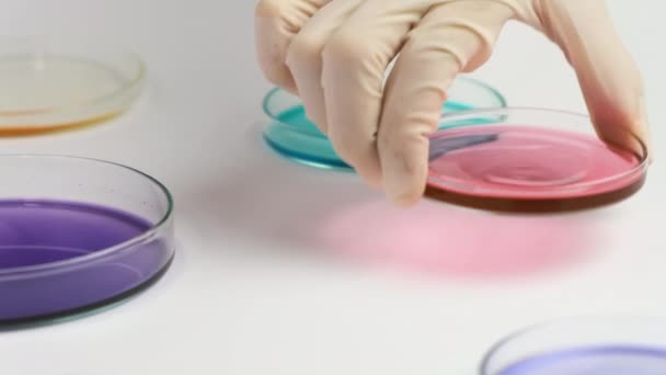 Spostarsi sopra le capsule di Petri e il chimico cambia i campioni nell'analisi microchimica.  - Filmati, video