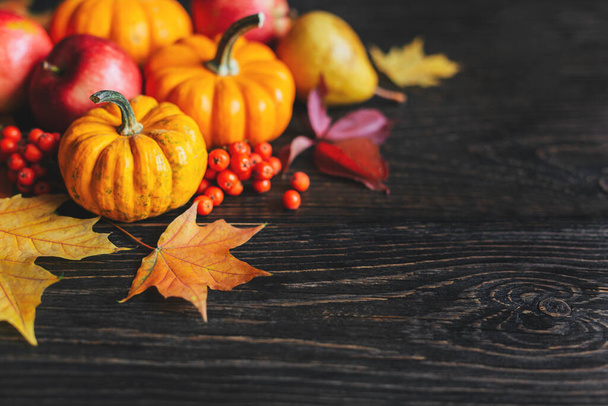 Autumn background with pumpkins, apples, pear, rowan berries and golden maple leaves. Dark rustic wooden background. Place for text. - Photo, Image