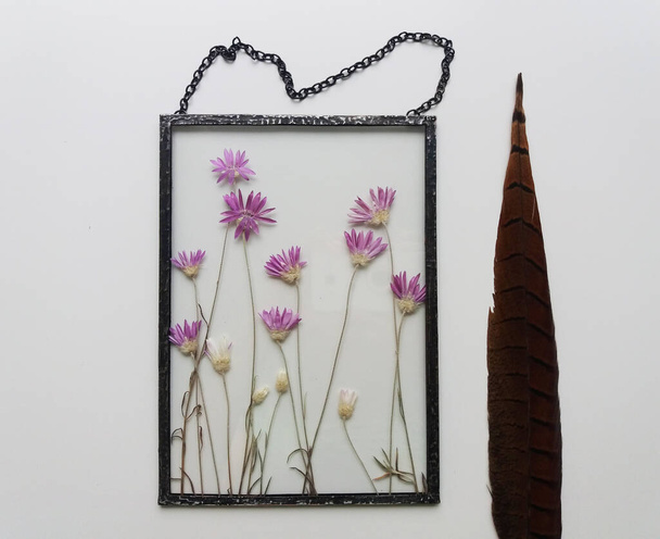 Flores prensadas enmarcadas en técnica tiffany en vidrieras - Foto, imagen