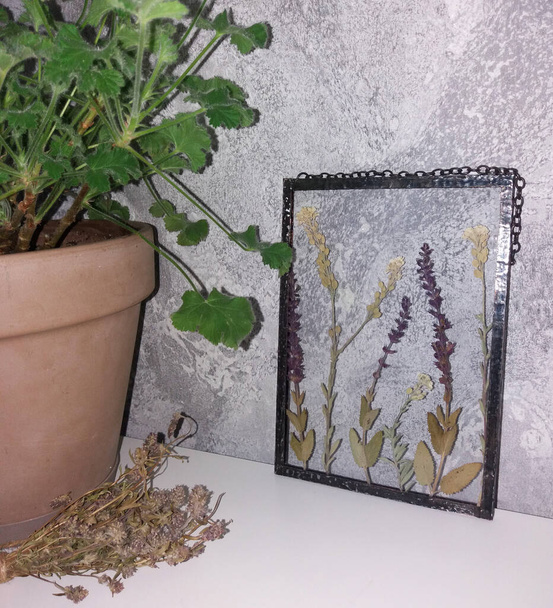 Fleurs pressées encadrées en technique tiffany en vitrail - Photo, image