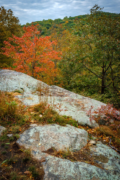 Colorful mountain landscape at Ramapo Reservation in Mahwah, NJ - Foto, Imagen
