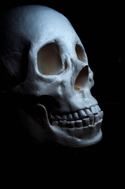 Ужасающий хэллоуинский череп на фоне октябрьских праздников - Фото, изображение