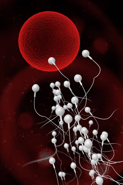 Плавание расы сперматозоидов для оплодотворения плодородной человеческой яйцеклетки 3D иллюстрации - Фото, изображение