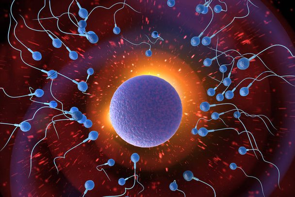 Natación carrera de esperma para impregnar un óvulo humano fértil Ilustración digital 3D - Foto, Imagen