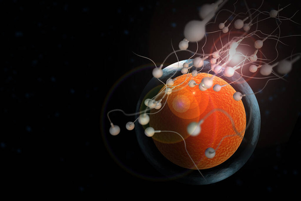 Pływanie plemników rasy do zapłodnienia płodne jajo człowieka 3D ilustracja - Zdjęcie, obraz