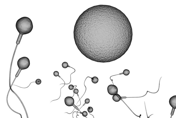 Плавание расы сперматозоидов для оплодотворения плодородной человеческой яйцеклетки 3D иллюстрации - Фото, изображение