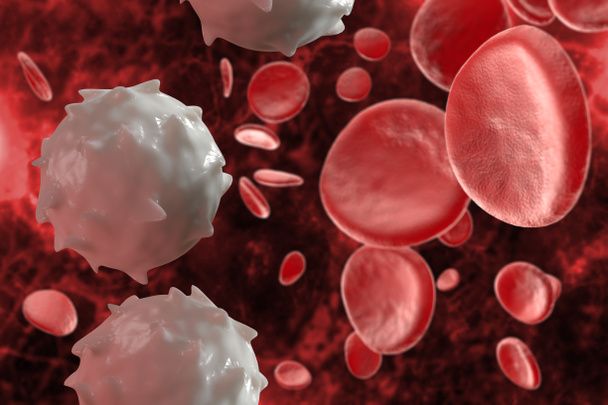 Healthy human red and white bloodcells macro science 3D illustration - Photo, Image