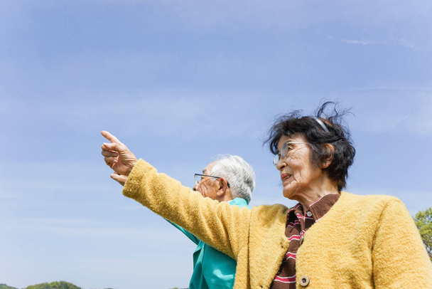 Senior couple pointing in sky at sunny day - Photo, Image