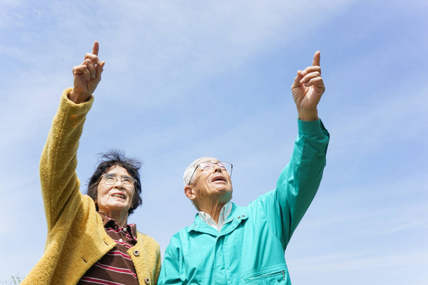 Starší pár ukazuje na oblohu za slunečného dne - Fotografie, Obrázek