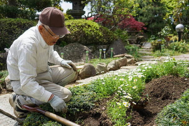 Uomo anziano che lavora in giardino - Foto, immagini