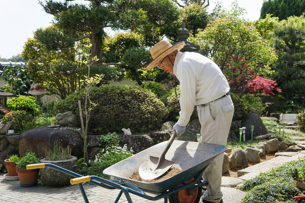 Iäkäs mies työskentelee puutarhassa - Valokuva, kuva