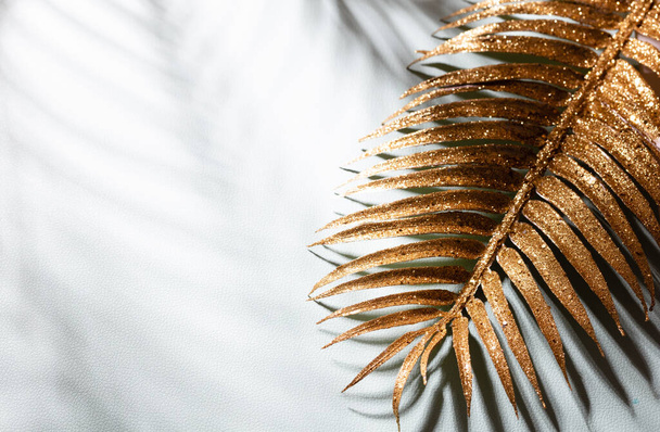 Gold palm leaves and shadows on a blue wall background. - Valokuva, kuva