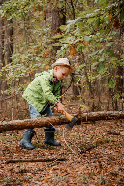 Kleiner Junge mit Hut im herbstlichen Wald. Ein Junge mit einer Axt in der Nähe eines umgestürzten Baumes. Holzfäller halten Axt. - Foto, Bild